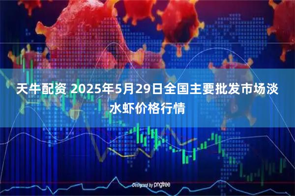 天牛配资 2025年5月29日全国主要批发市场淡水虾价格行情