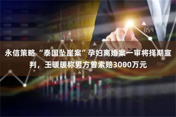 永信策略 “泰国坠崖案”孕妇离婚案一审将择期宣判，王暖暖称男方曾索赔3000万元
