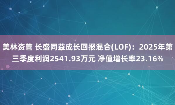 美林资管 长盛同益成长回报混合(LOF)：2025年第三季度利润2541.93万元 净值增长率23.16%