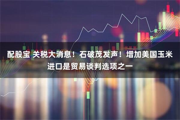 配股宝 关税大消息！石破茂发声！增加美国玉米进口是贸易谈判选项之一