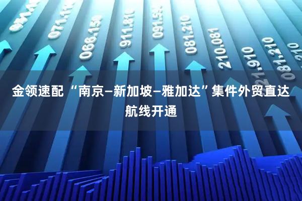 金领速配 “南京—新加坡—雅加达”集件外贸直达航线开通